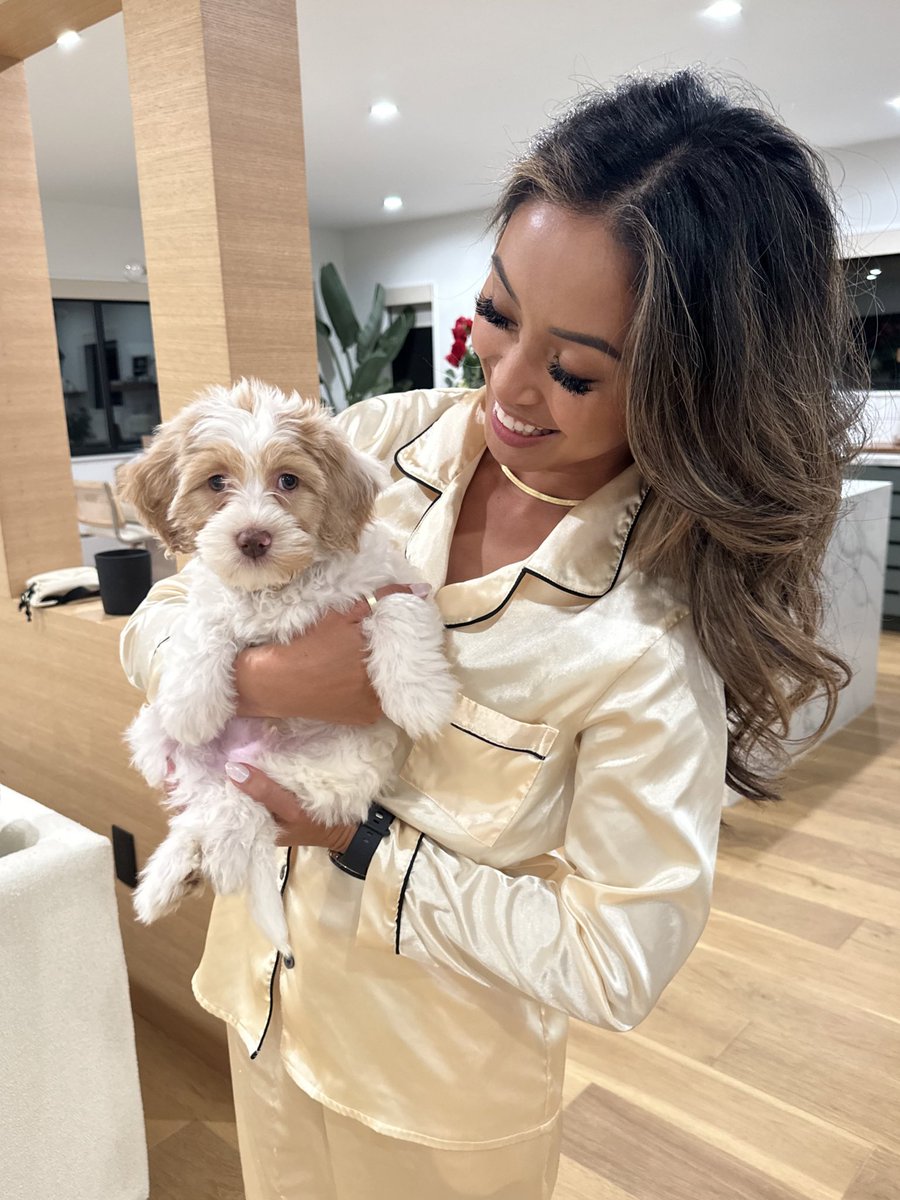 Welcome home our sweet boy 🥰 Say hello to King! 👑💛✨ #aussiedoodle