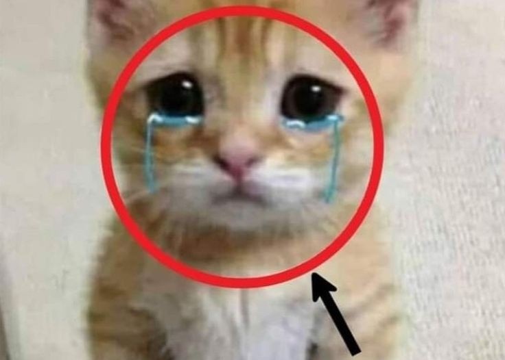 studythabs's tweet image. alguém aqui decifra letra de professor???

minha professora fez uma anotação de algo que preciso arrumar no meu projeto, mas eu simplesmente não consigo entender o que ela escreveu e ela não responde meu email!!