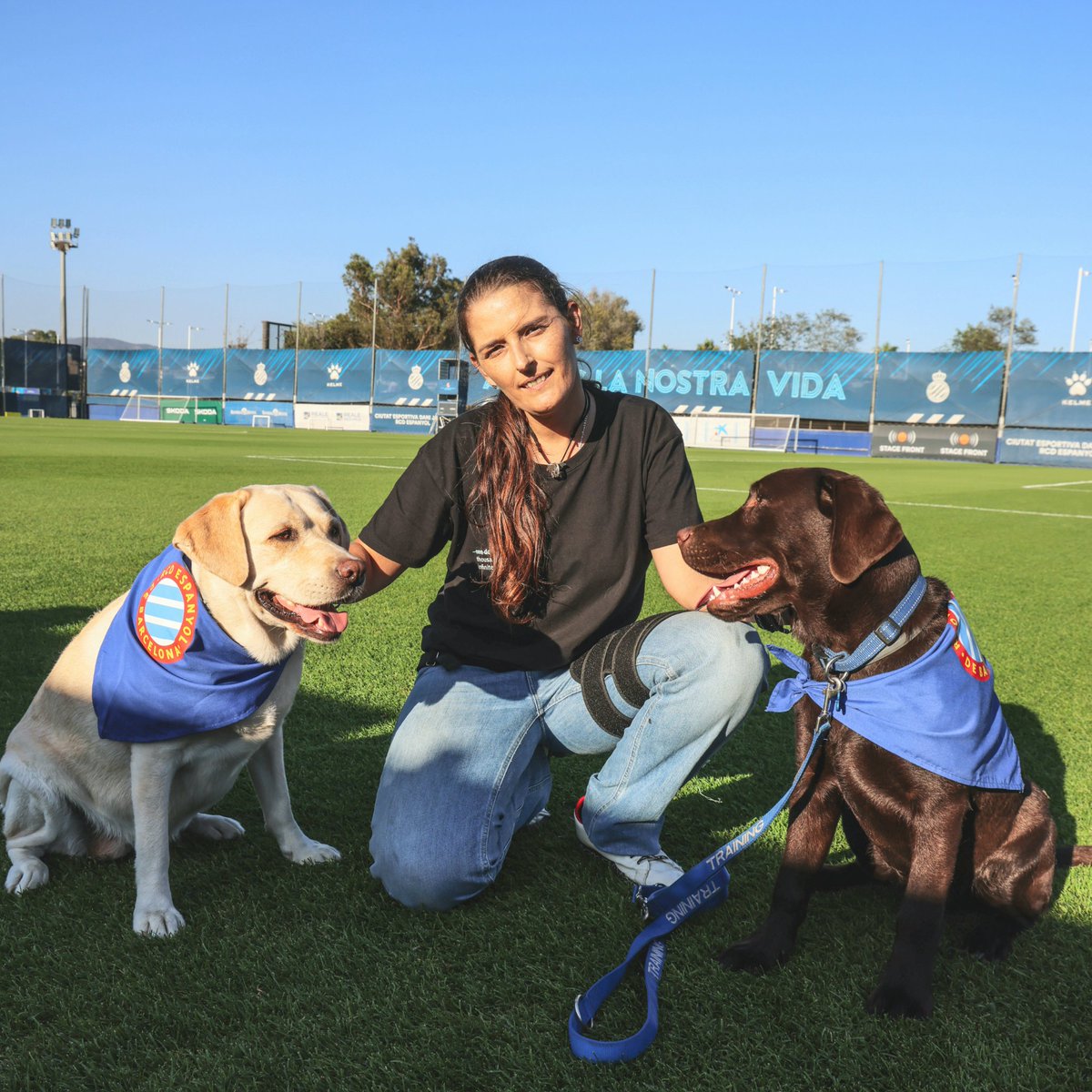 MeriDiscan's tweet image. Pues, desde hoy, ya somos oficialmente una familia de 3 💙

Acabo de recibir un mensaje en el que mi vet me dice que Bubu ya está a mi nombre, por fin. Así que ya es mi perrhijo oficial y hermano de mi perrhija 😁

Regalo de navidad anticipado 🥹

#familiadetres