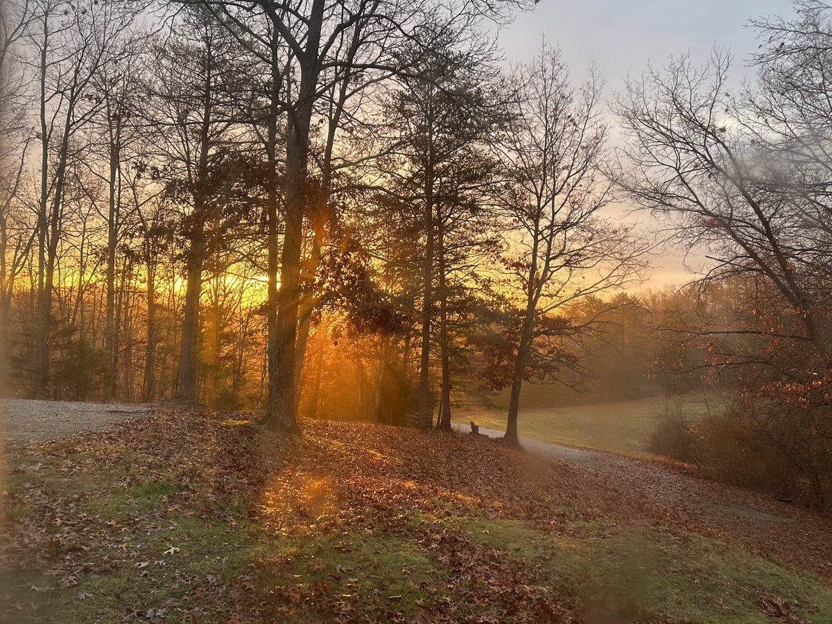 sunrise in my yard <3