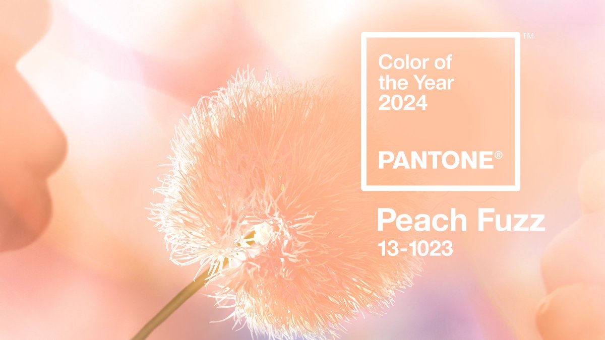Pantone Color of the Year 2024: PANTONE 13-1023 Peach Fuzz. A velvety gentle peach whose all-embracing spirit enriches mind, body, and heart. Learn more about PANTONE 13-1023 Peach Fuzz: pantone.com/color-of-the-y… #pantone #pantonecoloroftheyear #pantone2024 #peachfuzz
