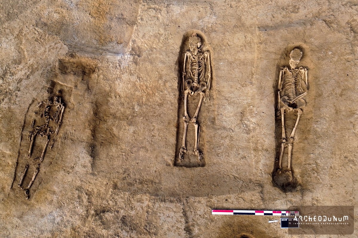 archeodunum's tweet photo. Le site présente également un cimetière antérieur aux regroupements paroissiaux accueillant une soixantaine de sépultures. L’équipe a bénéficié du prompt et constant renfort du chat d’une ferme voisine, contre attention et rémunération en nourriture féline. 
2/2 https://t.co/LidjVw1u4j