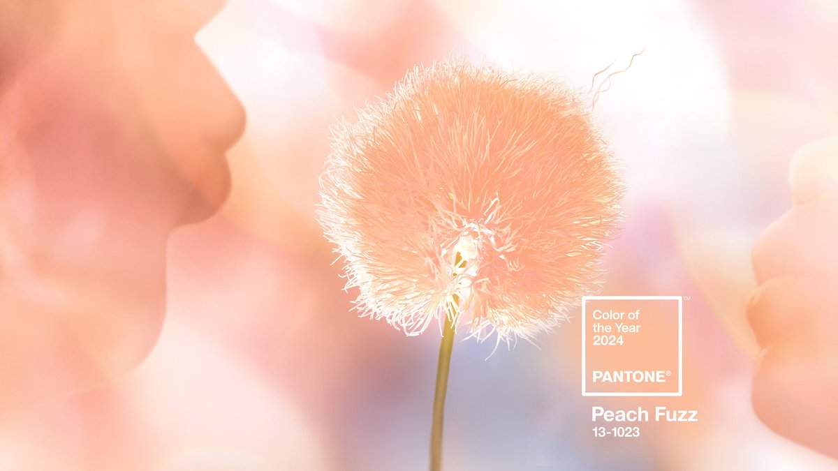 In an unexpected turn of events <a href="/pantone/">PANTONE</a> names Peach Fuzz as the 2024 colour of the year! This shade gently gathers the community with an all inclusive hue that is easy on the eyes and holds modern elements while reflecting the past! #colouroftheyear #colour
