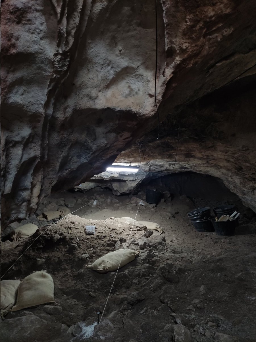 M_Marqueta's tweet photo. Why go on holiday when you can go digging? Needed some cave vibes at Xaragalls Cave ⛰️🦅💀@iphes https://t.co/k98wwMjksJ