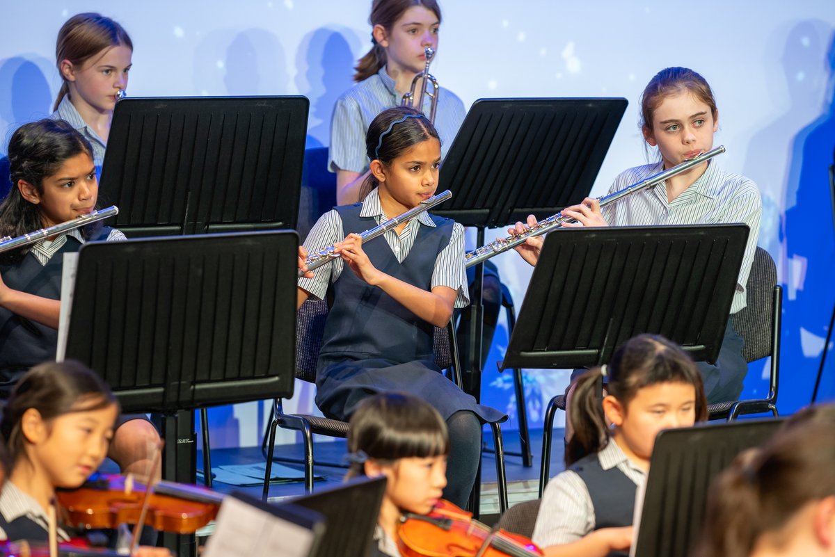 STAHSPrep's tweet photo. Guests were treated to a wonderful evening of enchanting music on Tuesday. A huge congratulations to all involved for such a joy filled festive evening🎄
@STAHSMusic #STAHSPrep https://t.co/UHLIa6qtAm