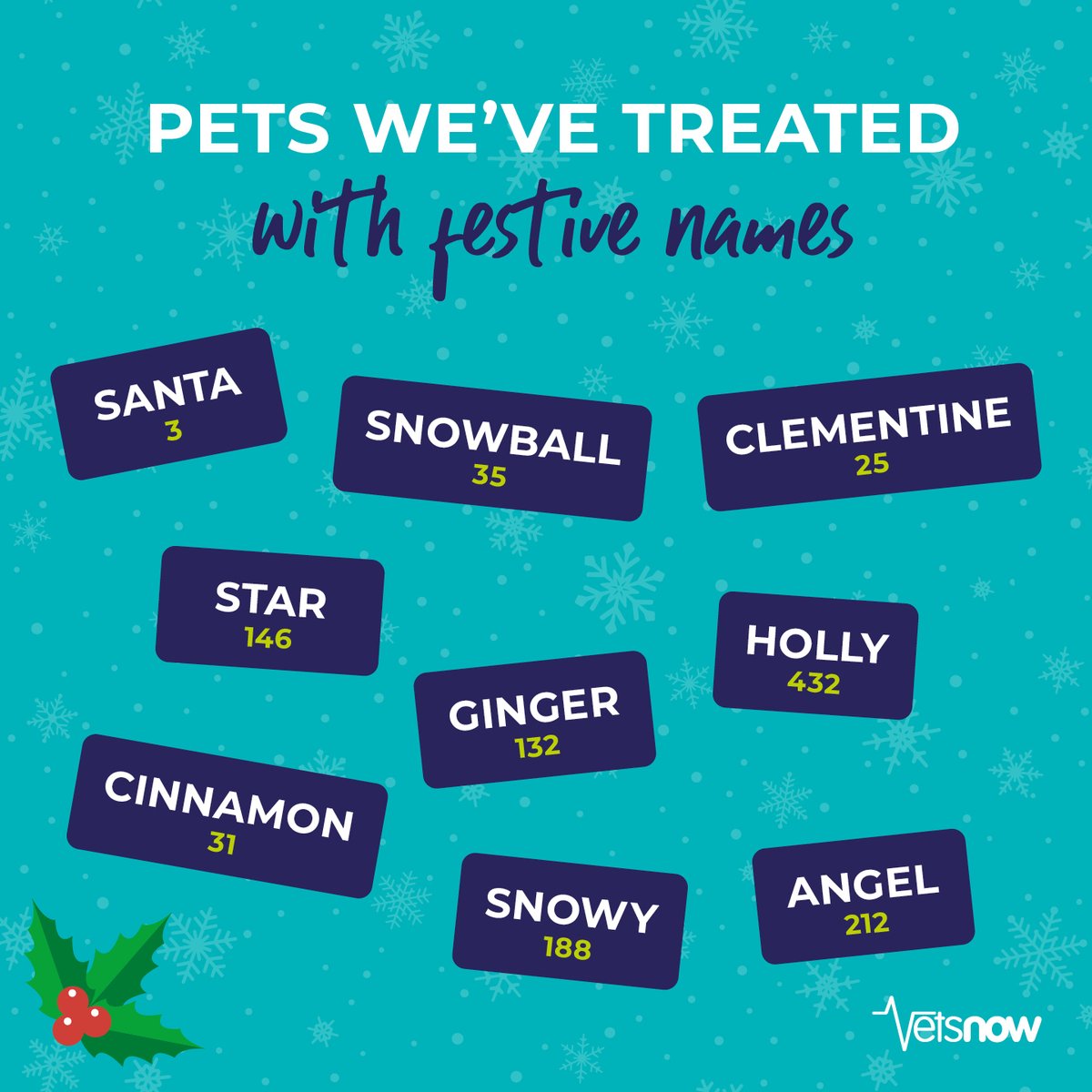 From Angel 😇, Snowball ❄️ and Star 🌟, our furry patients brought the holiday spirit to Vets Now all year round. Does your pet have a festive-themed name? Let us know in the comments! 🎄✨