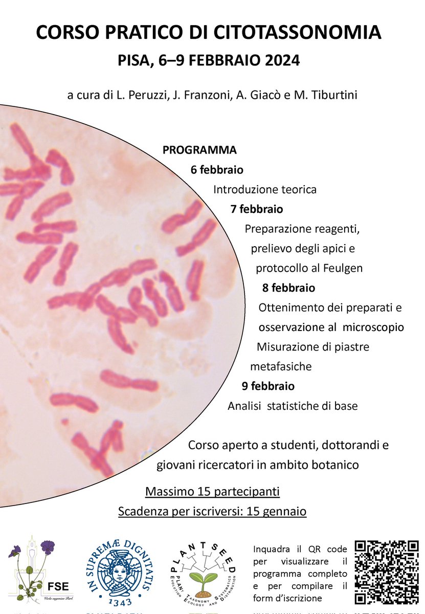 PLANTSEED_unipi's tweet photo. #cytotaxonomy #karyology #citotassonomia #citogenetica #cytogenetics #cariologia #botany #botanica #systematics #sistematica https://t.co/J8jbpThO6y