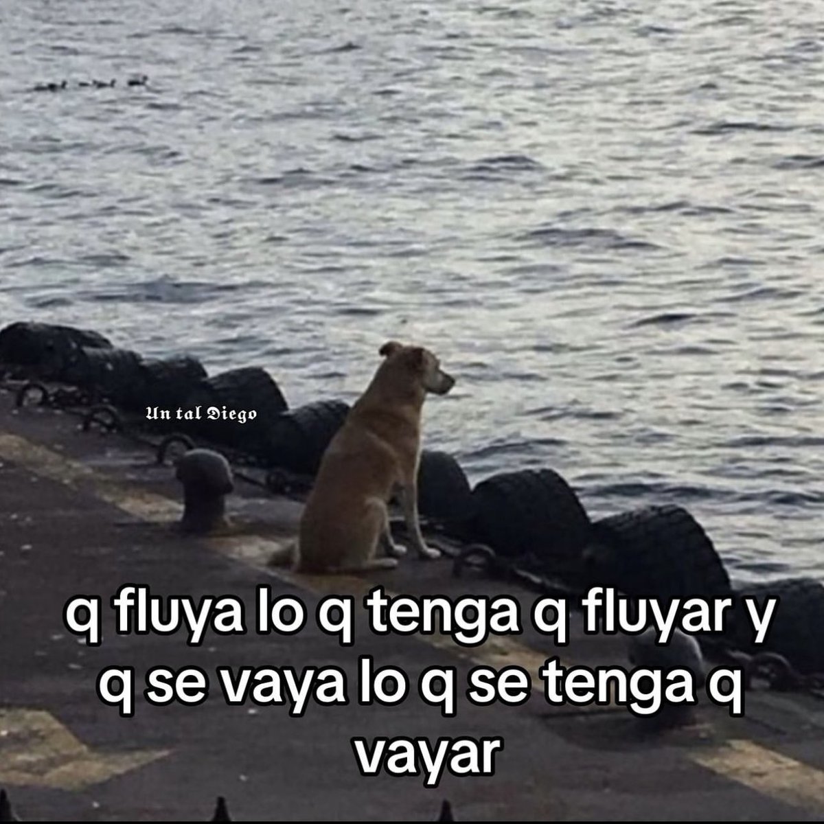 Yusef (@dios) on Twitter photo 