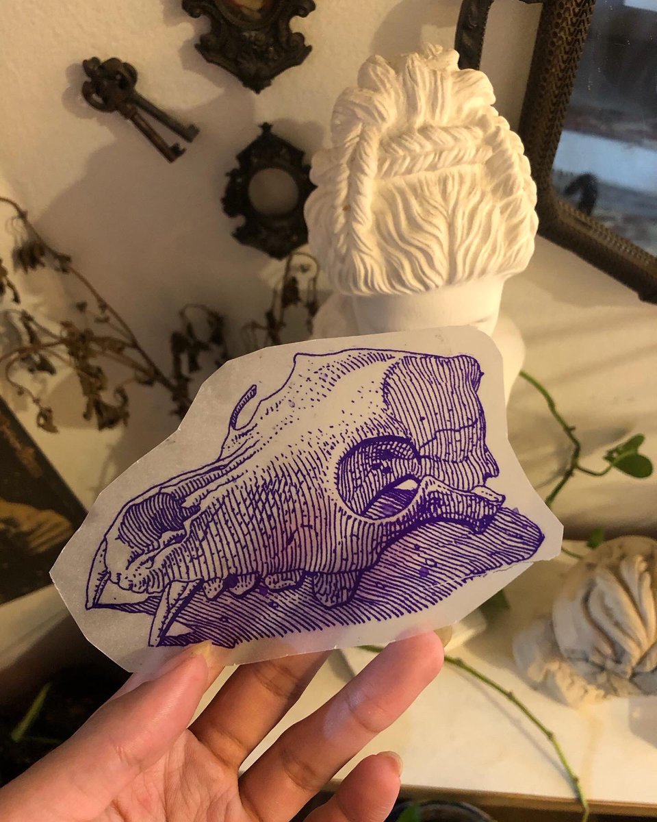 ge_oid's tweet photo. ainda pensando nesse crânio de lobo do Moebius que fiz domingo 🥰 https://t.co/AfdmlqAXlW
