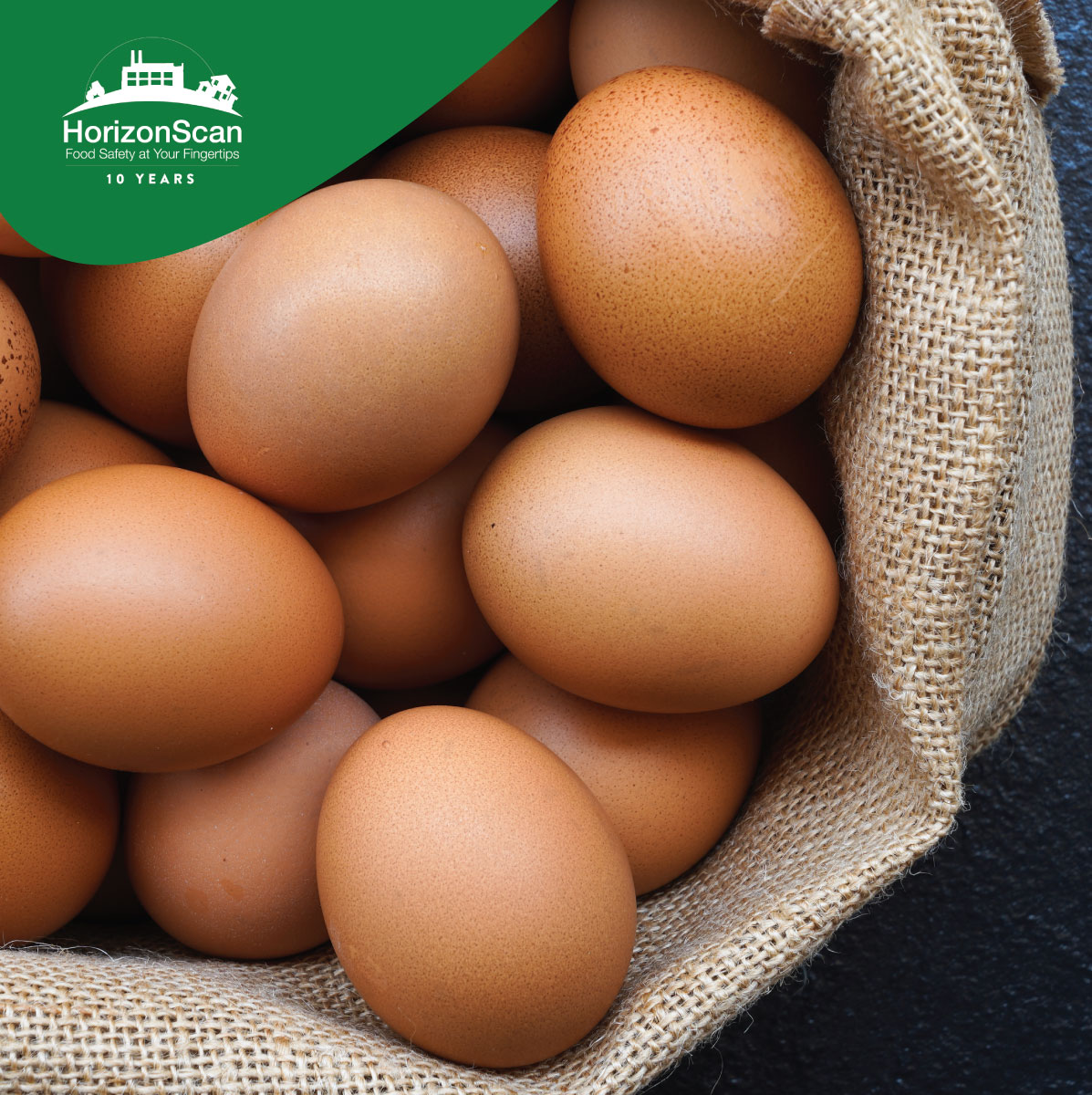 Recent data from HorizonScan has reported low-welfare eggs are flooding into the UK from abroad, the Guardian can reveal, as experts warn the effects of Brexit could cause even more to be imported. Stay ahead with HorizonScan > hubs.ly/Q028Fqpl0