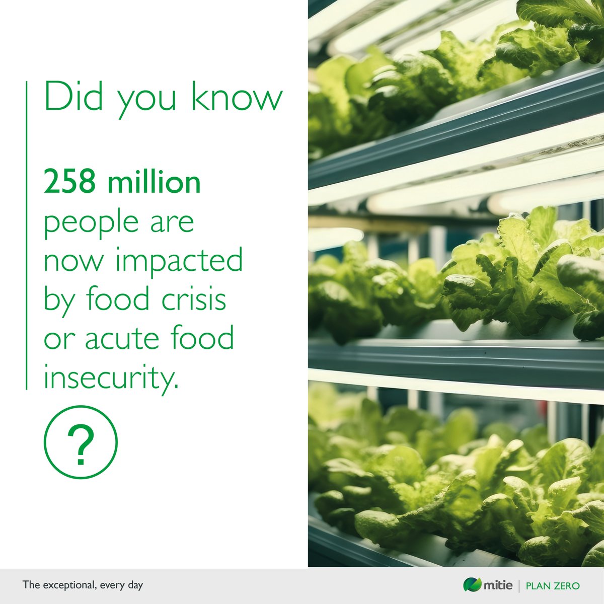 mitie's tweet photo. Did you know 258m people face food crises or acute food insecurity? 

#COP28 will focus heavily on climate adaptation &amp; mitigation, addressing health, food, water &amp; nature. 

Discover how world leaders will tackle this issue > https://t.co/UoesSTCfVA https://t.co/SL3QNI0ova