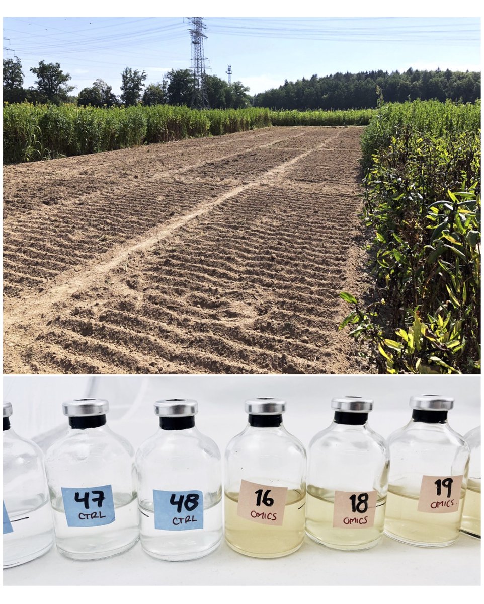 SaraKleindienst's tweet photo. Join Our Team! We're on the lookout for a motivated PhD student to be part of our ERC project!

If you're an environmental microbiologist fascinated by biogeochemical cycles, GHGs, and the impact of surfactants on microbes, apply by Jan 14, 2024.

https://t.co/3SrzQogoyA https://t.co/bNLTaUyFsU