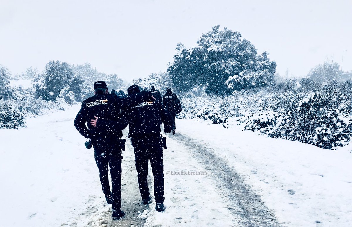 Cuida todos tus recuerdos, no puedes revivirlo.
⚫️🔵⚫️
#BlueLifeBrothers 
#CaminamosJuntos