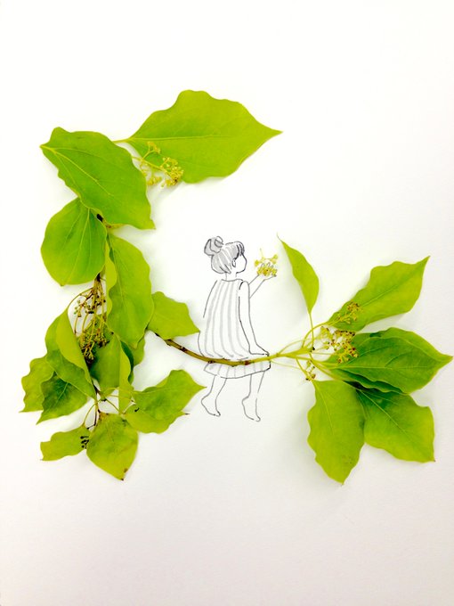 「holding leaf」 illustration images(Latest｜RT&Fav:50)