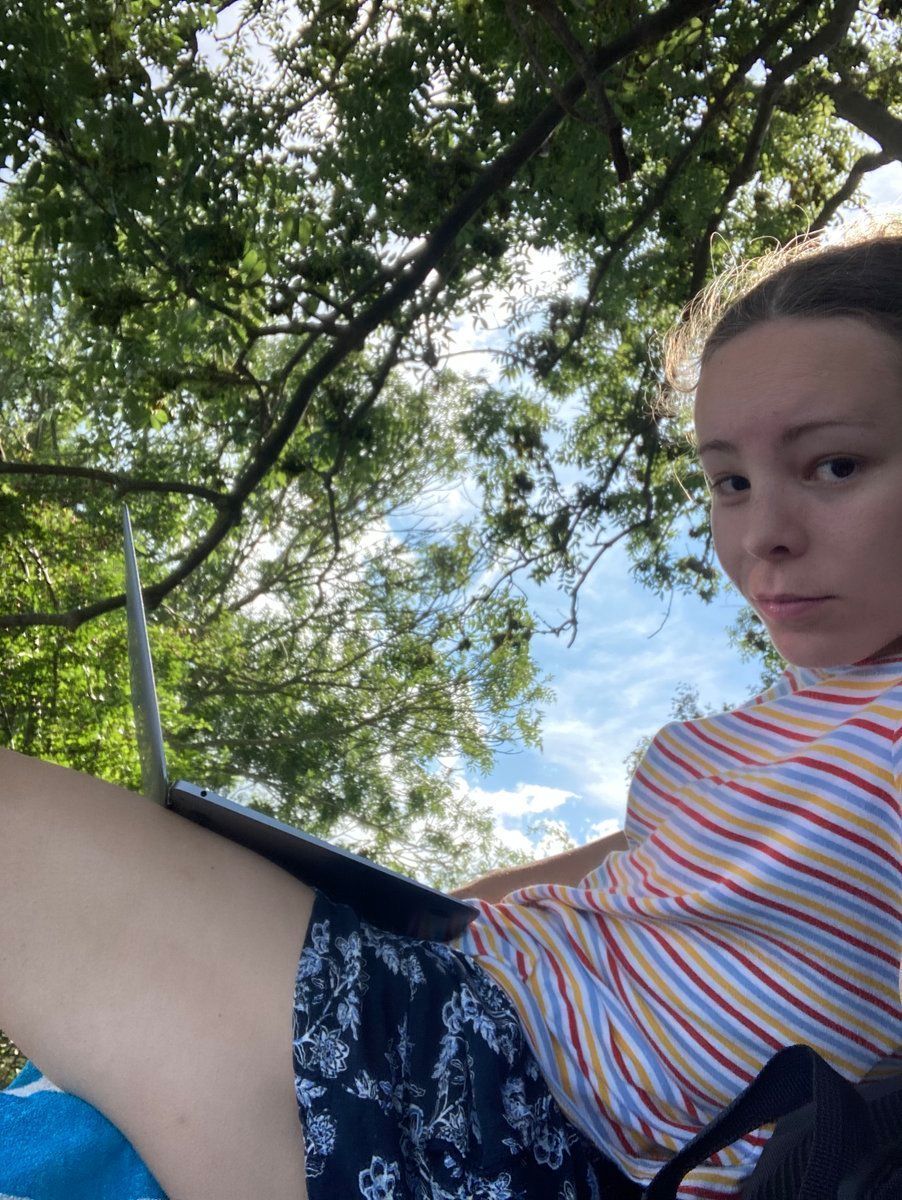 Lente ⛵ dev on a boat tweet media