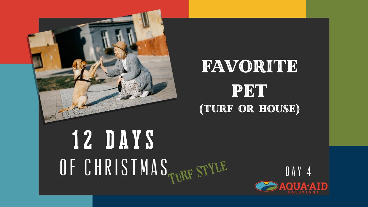 Solutions4Turf's tweet photo. Day 4 of our Favorite Things #Turfmas photo challenge! Show us your pets, the ones who have your heart. #HolidayFun #photochallenge #contest #giveaway https://t.co/LMQiRaaZIw