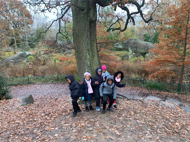 Year 3 visit the Crystal Palace Park dlvr.it/SzqjLm