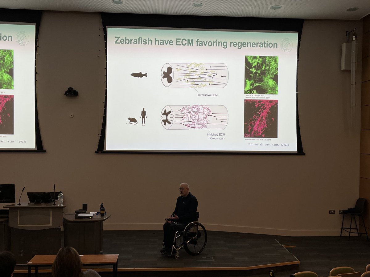 Francesca Palombo (@profpalombo) on Twitter photo Prof. Jochen Guck presenting a fascinating work on spinal chord repair in zebrafish at <a href="/BioBrillouin/">COST Action</a> conference 2023.
<a href="/drmgmonaghan/">Michael Monaghan</a> <a href="/MPI_Light/">Max Planck Institute for the Science of Light</a> <a href="/KyoohyunK/">Kyoohyun Kim</a> Prof. Jochen Guck presenting a fascinating work on spinal chord repair in zebrafish at <a href="/BioBrillouin/">COST Action</a> conference 2023.
<a href="/drmgmonaghan/">Michael Monaghan</a> <a href="/MPI_Light/">Max Planck Institute for the Science of Light</a> <a href="/KyoohyunK/">Kyoohyun Kim</a>