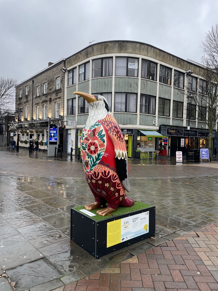 Who’s spotted our newest addition to #TeamRUOS?! 🐧‘It’s Penguinning to Look a Lot Like Christmas’ has been adopted by Right Up Our Street and we’ve loved being part of the Penguin Trail Fun! Our Penguin was designed by <a href="/LauraKateDraws/">Laura-Kate Draws</a> 🎨 #doncasterisgreat