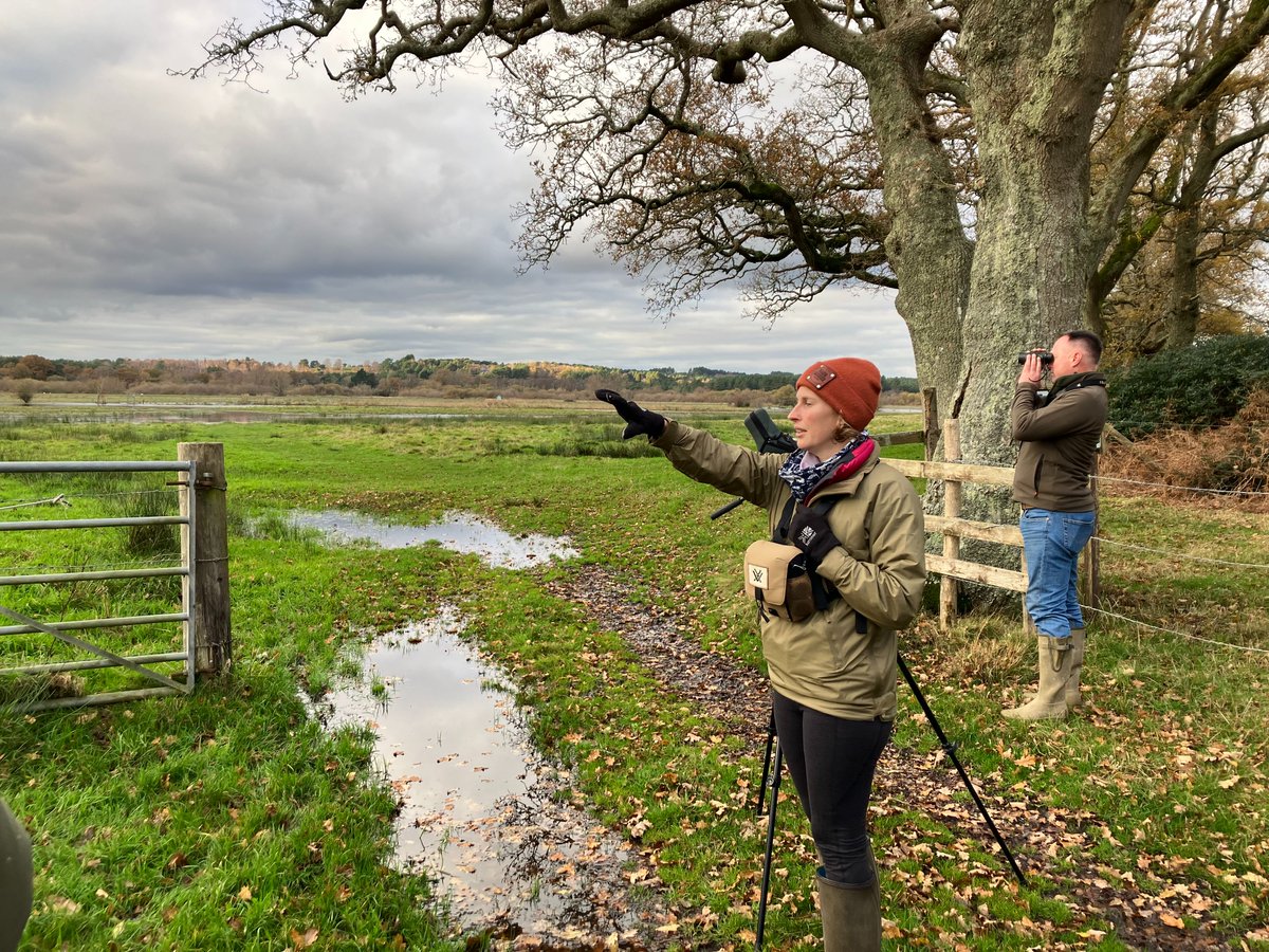 ☀️ The sun was shining and several rare birds paid a visit as a group of farmers, land managers, rangers and ecologists gathered to get inspiration from the success of the GWCT's wader conservation work in the Avon Valley #workingforwildlife @WadersForReal