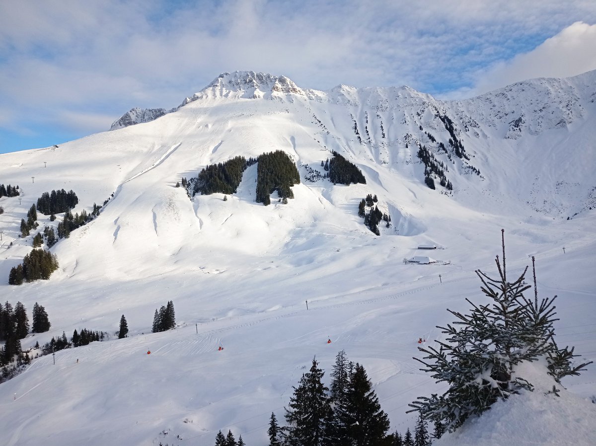 A Wednesday afternoon in Switzerland, as @Ulrich__Kaiser would describe it...if you want to check out this winter wonderland close to #Fribourg, join us for our winter school in #DataAnalytics and #MachineLearning (Feb 5-16, 2024) at @unifr @ses_unifr: unifr.ch/appecon/en/win…