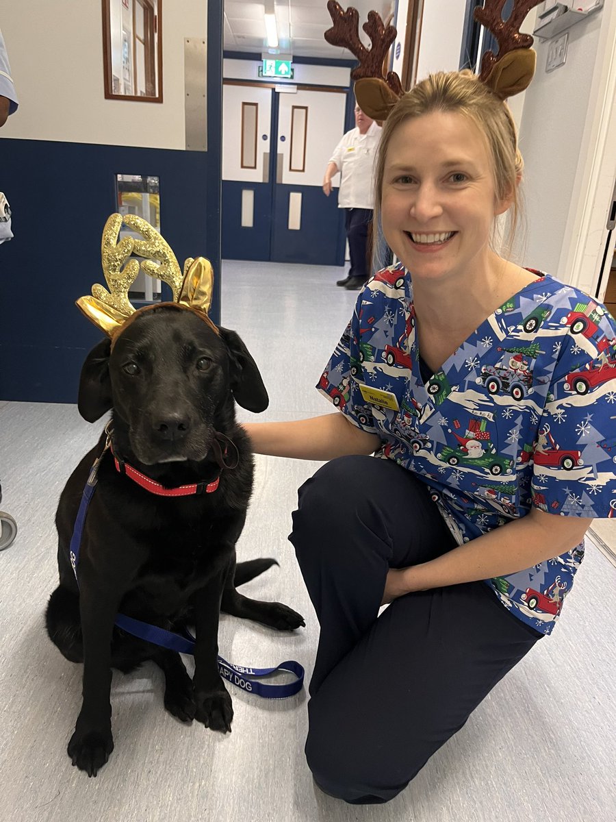 Christmas spirit has arrived for therapy dog Pip!