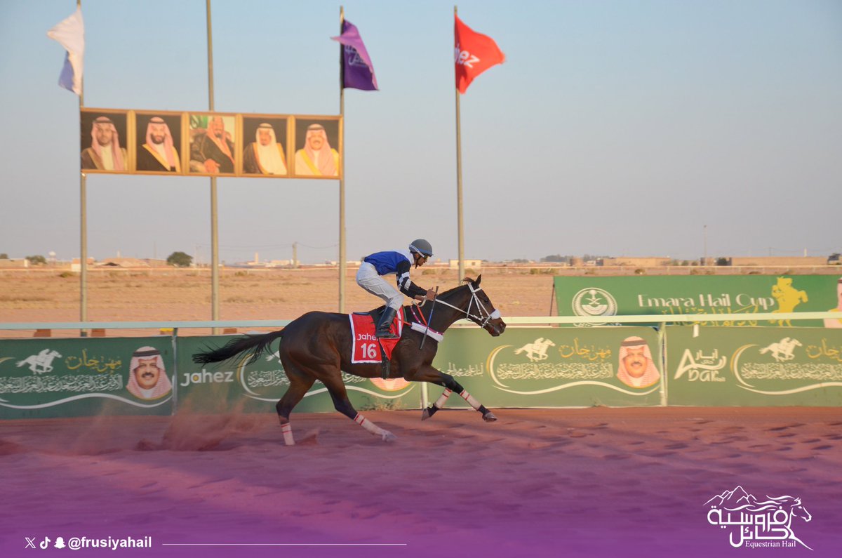 🏆| الحفل السادس ضمن موسم سباقات 1445هـ

الشوط الرابع : مفتوح مواليد2020
المركز الأول الجواد : شاكر الخير
المالك : شاكر منصور المطيري
المدرب : حمود سعد البقعاوي
الخيال  : فارس المطرودي
المسافة :  2000متر
#فروسية_حائل