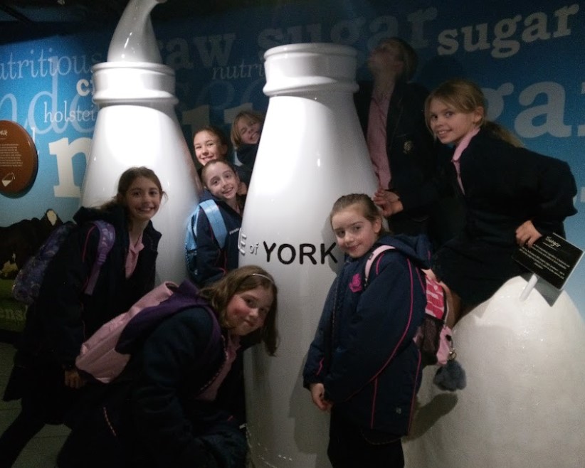 Yesterday, our Year 6 pupils visited @York'sChocolateStory They had a great time measuring and making their chocolate delights and learned some amazing facts in the process. Mr Jackson confirmed that they also ate some, ensuring it was a memorable experience!