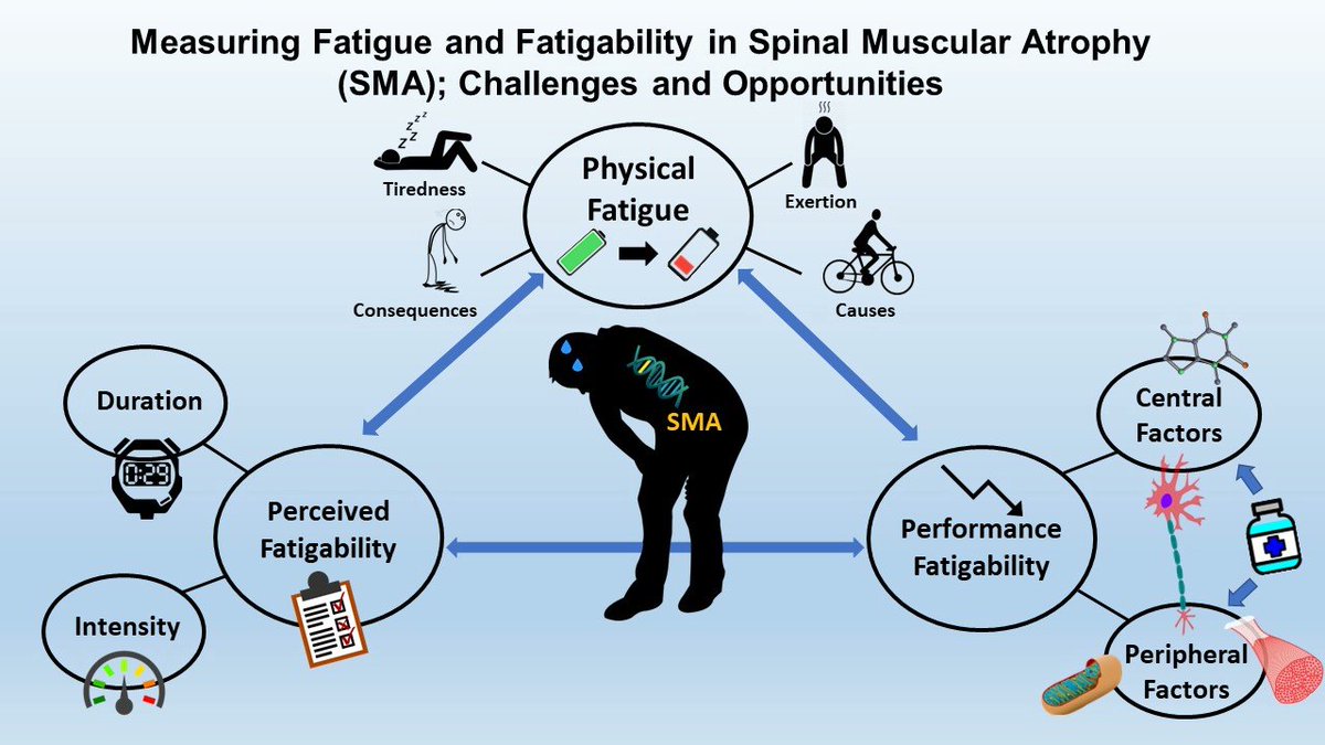 #mdpijcm
Check out the #Review: "Measuring Fatigue and Fatigability in Spinal Muscular Atrophy (SMA): Challenges and Opportunities"
👉Full Text: mdpi.com/2077-0383/12/1…
<a href="/ColumbiaMed/">Columbia Medicine</a> <a href="/PittTweet/">University of Pittsburgh</a> <a href="/columbianeurons/">Columbia Neurology Residency</a>
#fatigue #NeuromuscularDisorders