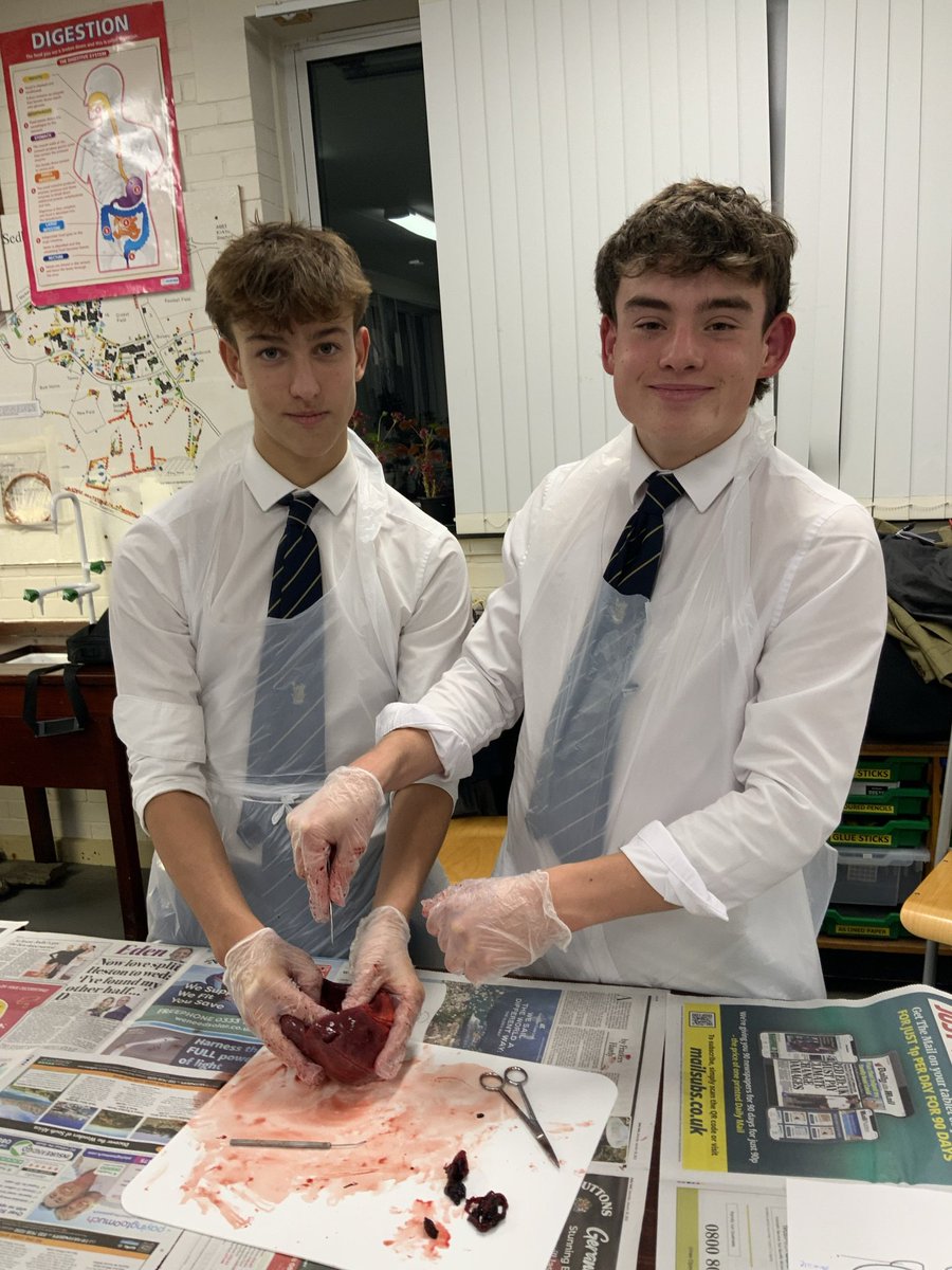 Sedbergh_STEM's tweet image. Yr10 studying the circulatory system as part of their #AQA GCSE course🫀#practicalwork #activelearning