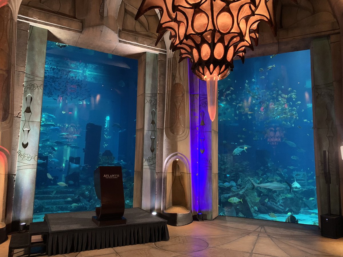 Freedom-Kai Phillips tweet media