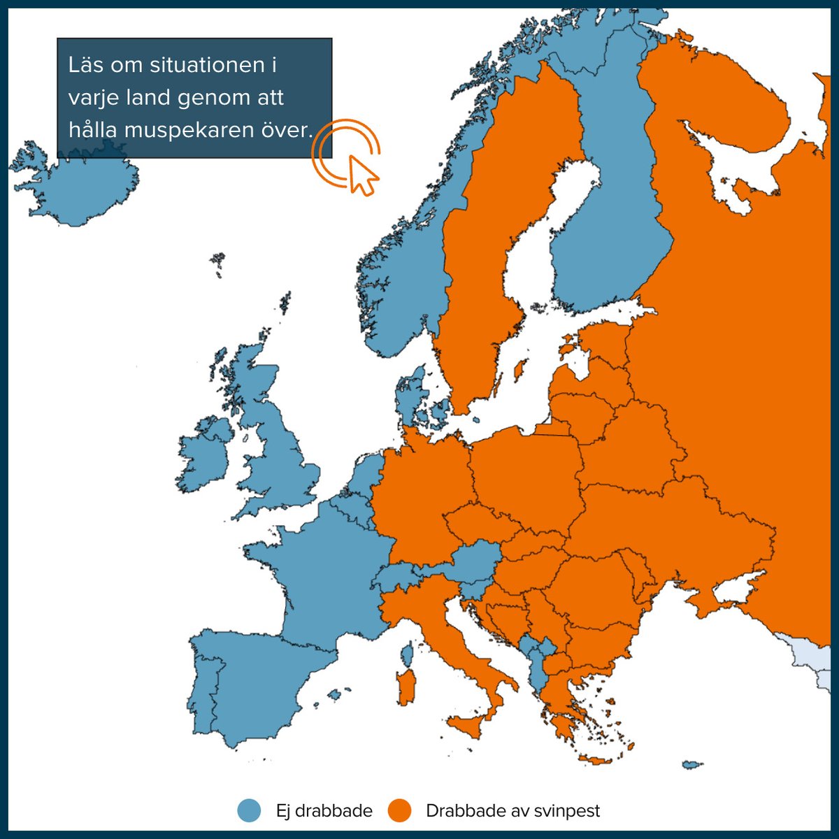 Visste du att stora delar av Europa har pågående utbrott av den afrikanska svinpesten?

🔹LÄS ATL:s KARTLÄGGNING HÄR: atl.nu/afrikansk-svin…