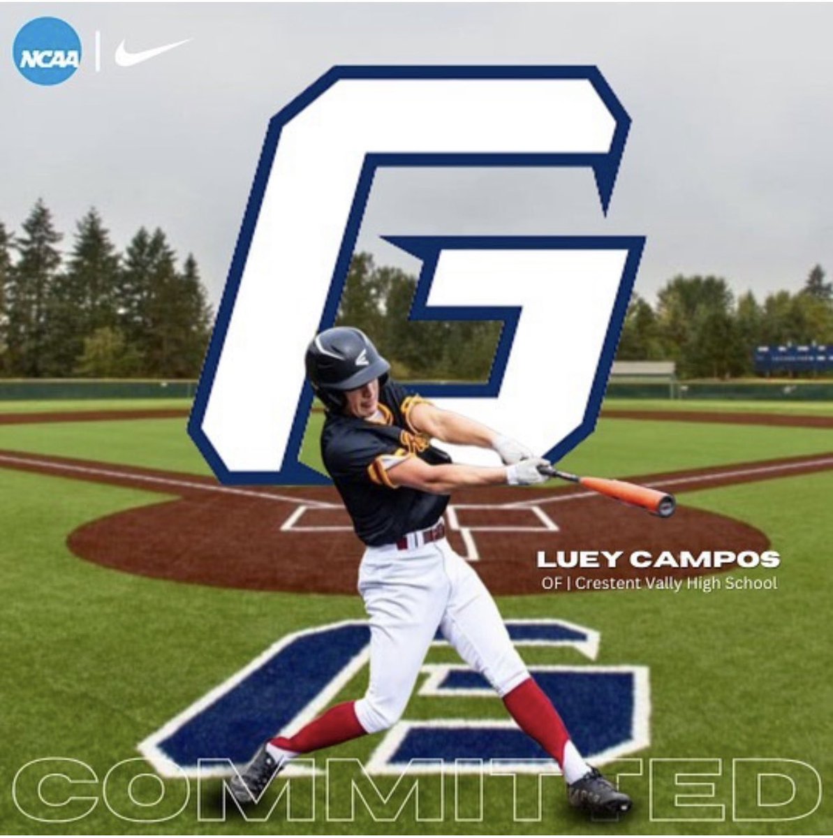 Luey Campos tweet media