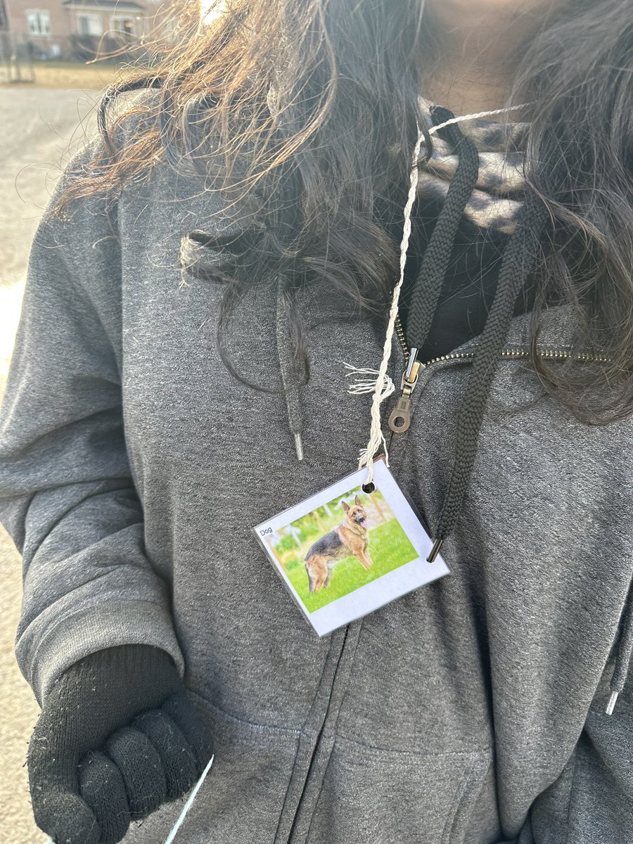Grade 6-2 and 5/6-1 collaborated in an activity, crafting a web to illustrate how interconnections among organisms support the coexistence of diverse plants and animals. This highlighted the dependence different species have on one another.