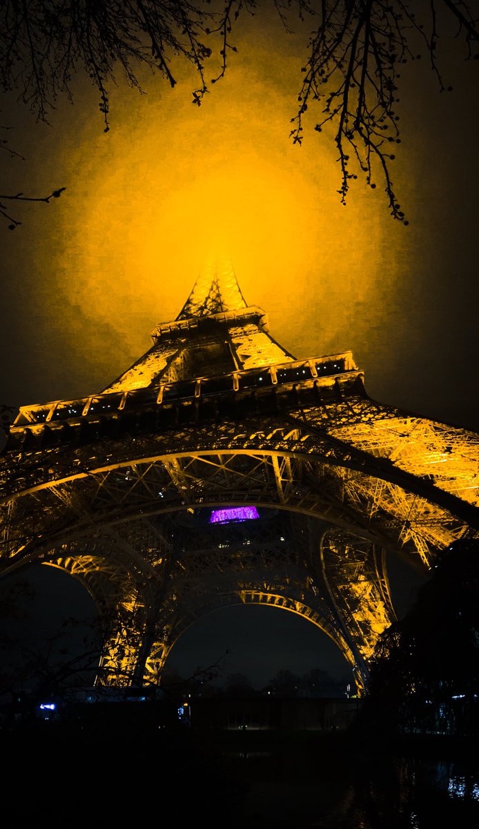 1st International Consensus Conference on Robotic Hepato-Pancreato-Biliary Surgery 🇫🇷