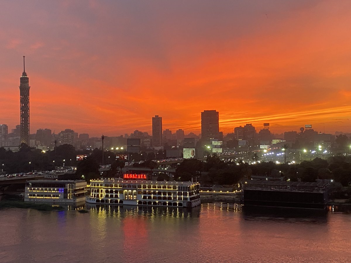 Anne Allmeling tweet media