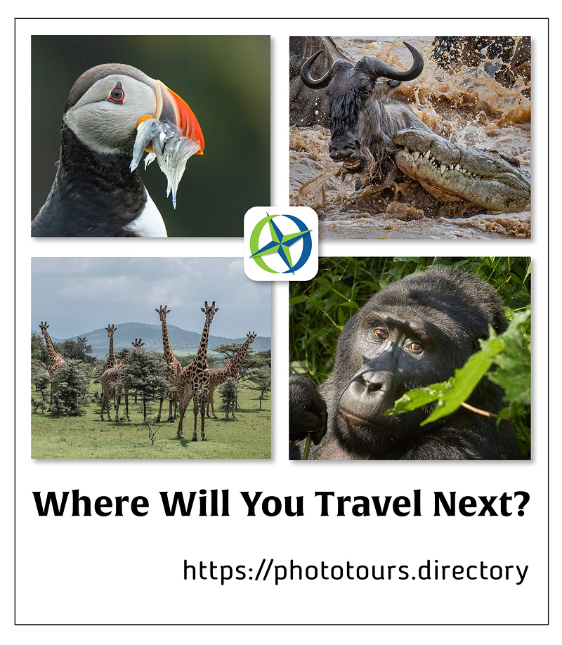 Where will you travel next? Have you booked your next photo tour? phototours.directory Plan ahead and choose from an extensive range of destinations and tour providers.