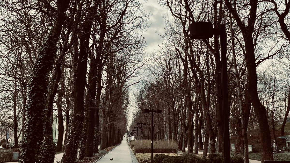 triz ★ VAI VER O ENHYPEN tweet media