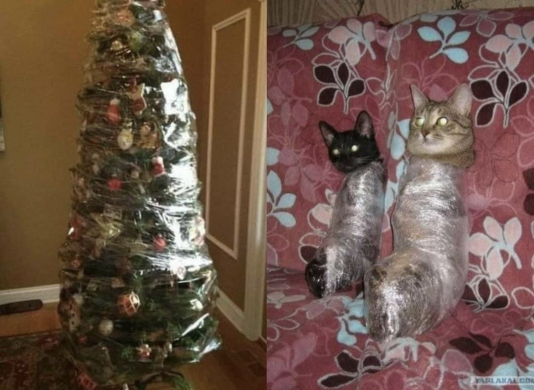 pokiripikkirees