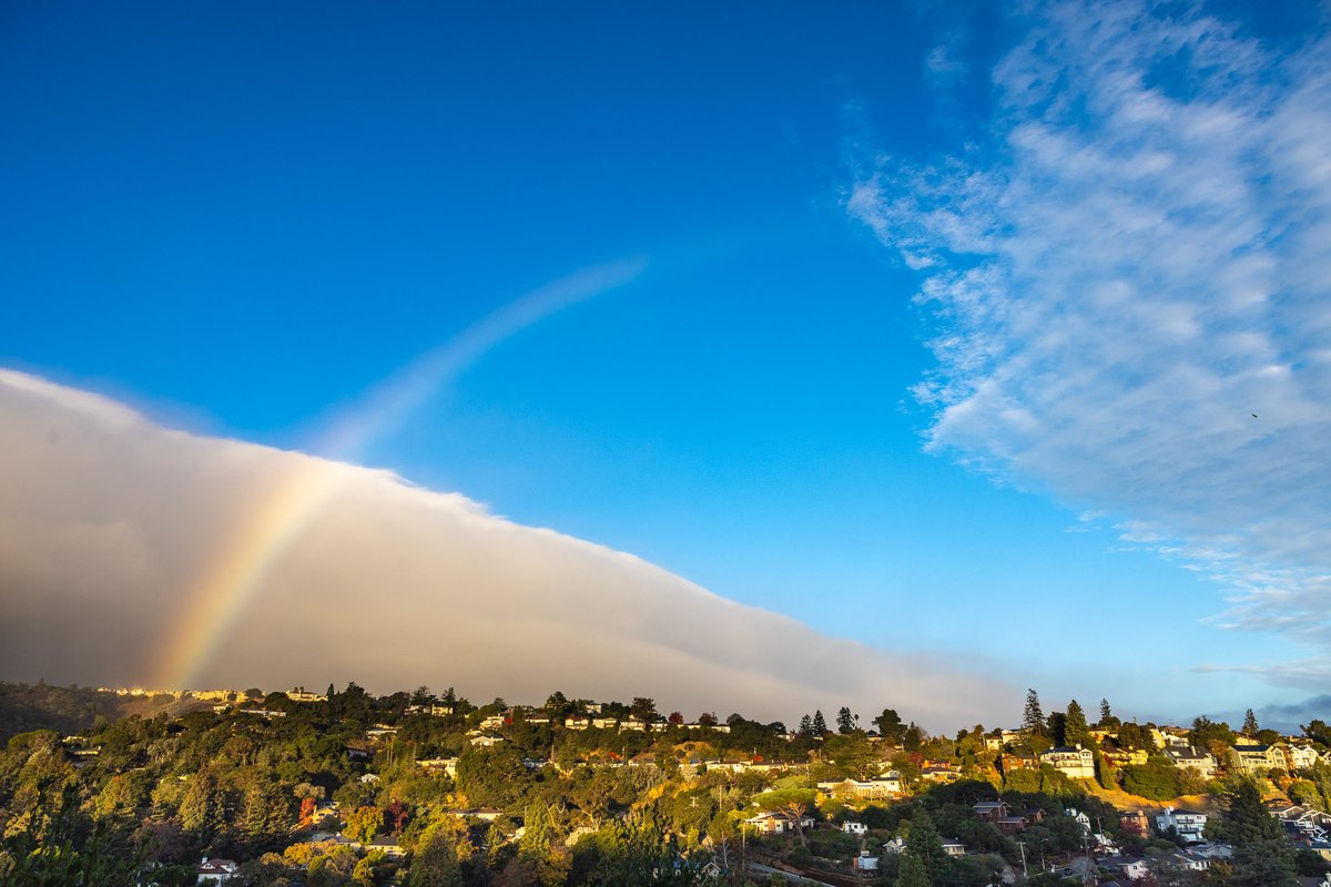 Yesterday morning's rainbow was the most I've ever seen against a blue sky. Very strange! And it wasn't particularly windy. Somehow the raindrops drifted far enough over toward us from a wall of cloud that the arc extended far out in front of the clouds. #rainbow #weather