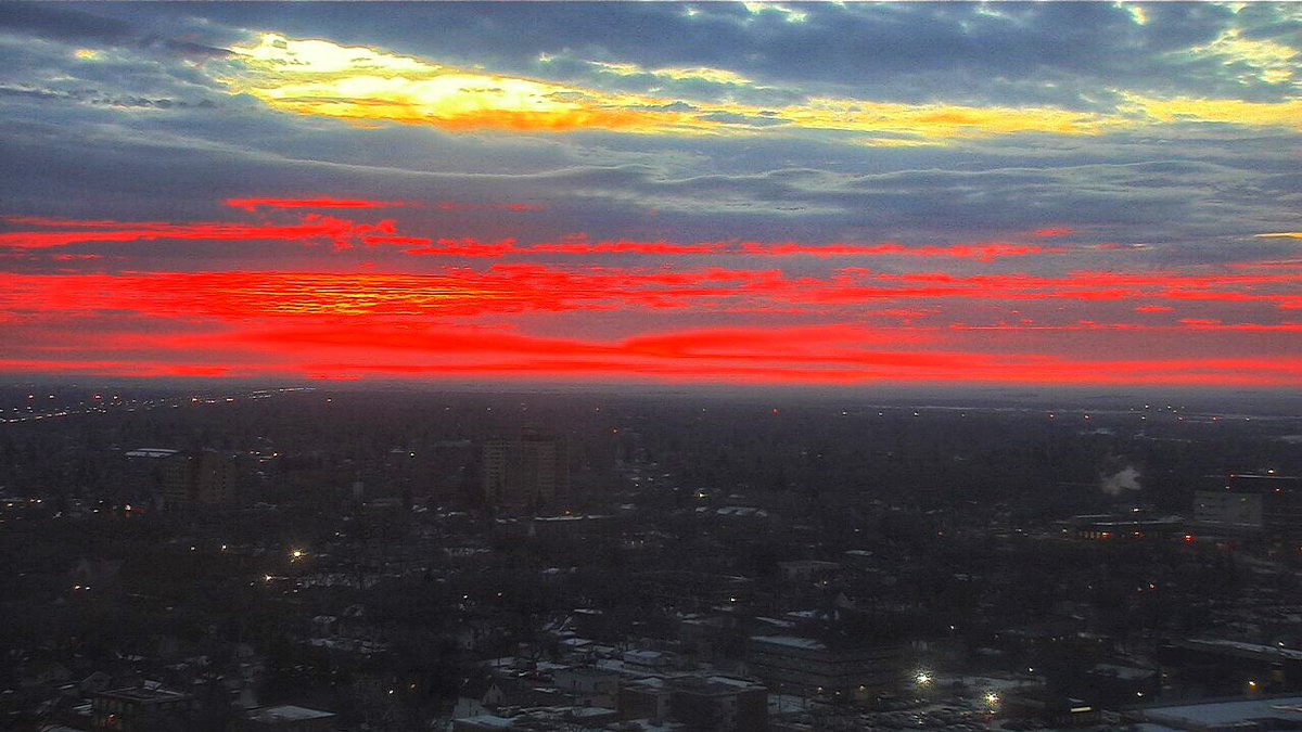 Chris Arden Haynes tweet media