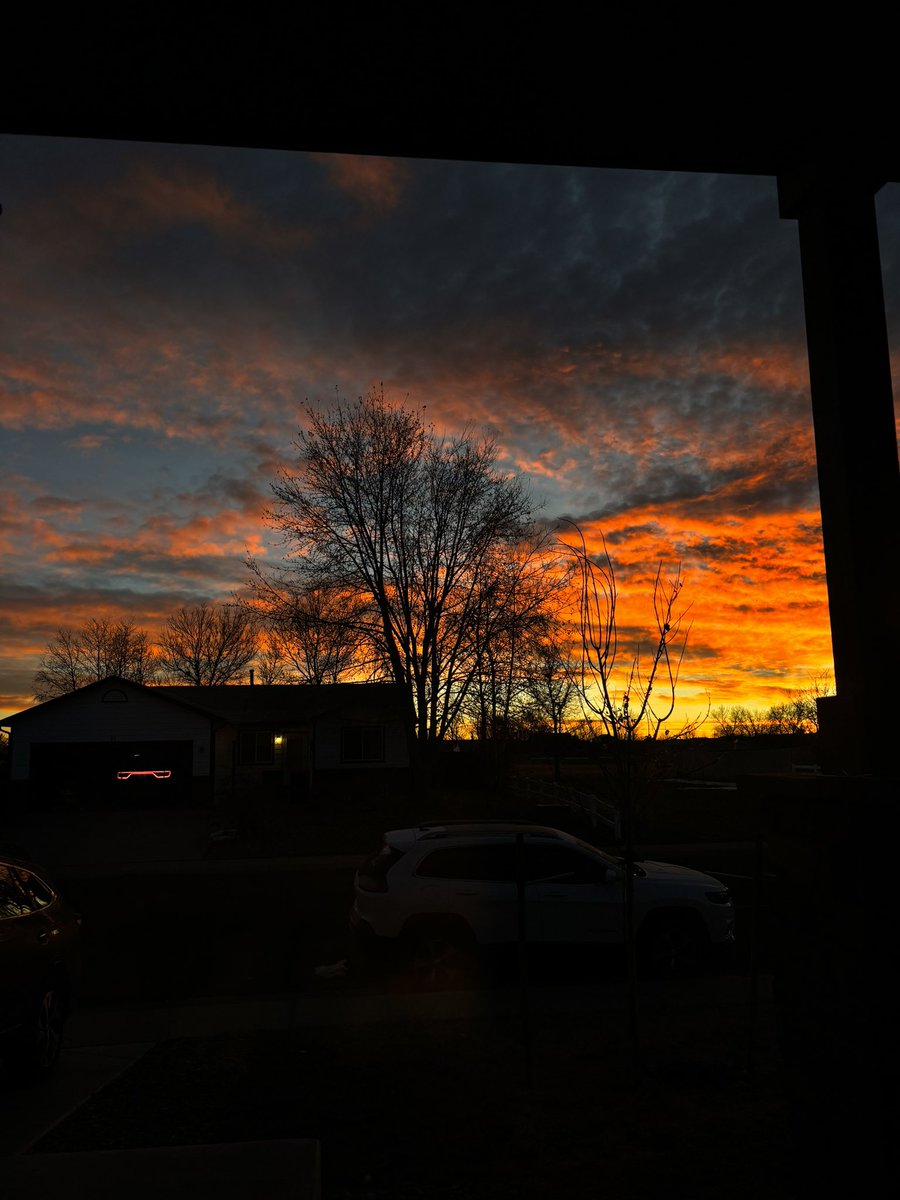 Rialet ‘Flower’ van Jaarsveld tweet media