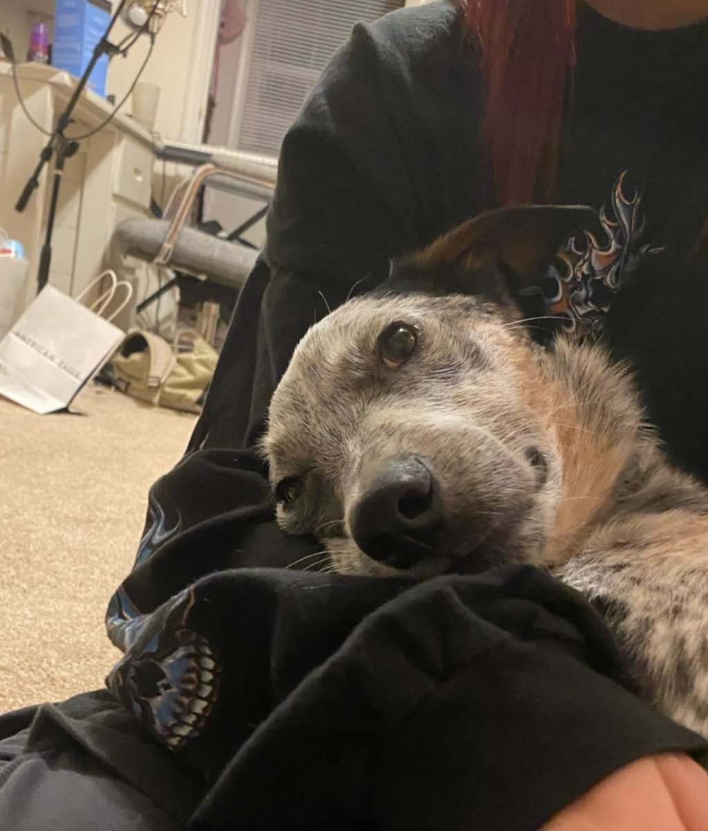 Tico acordou todo bilu teteia hoje, que nem a mamãe.