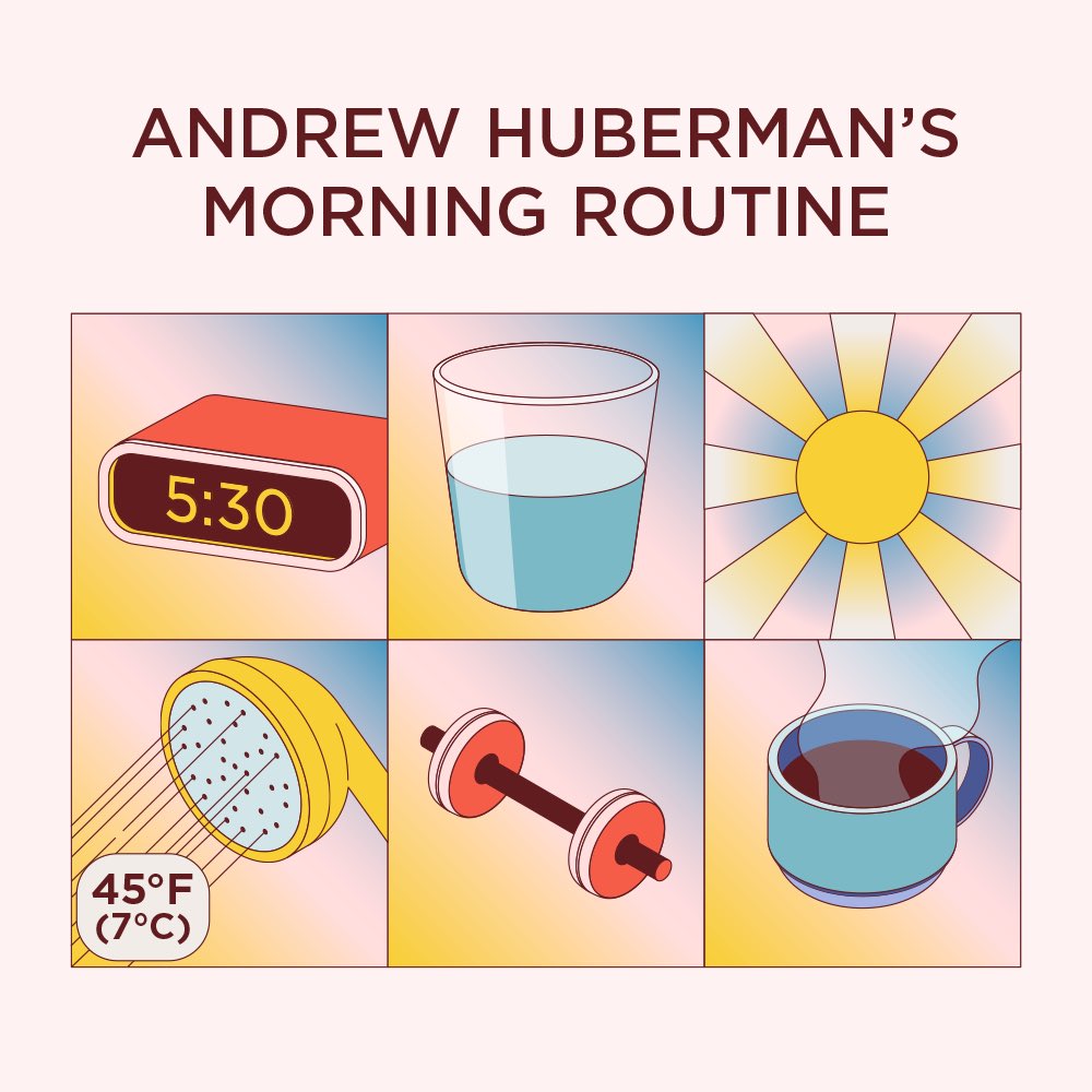 Mornings are tough, but they don’t have to be… Jump-start your day and boost focus, energy, and productivity, with our latest Quick Read, The Science Behind Andrew Huberman’s Morning Routine. imprintapp.onelink.me/H4lb/xb7at4cn