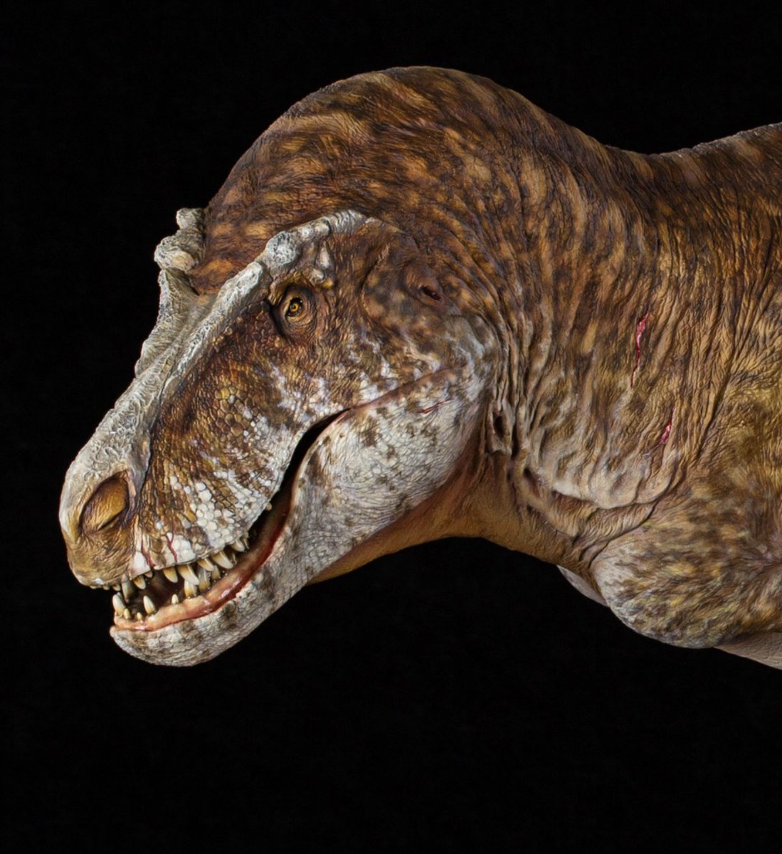 x_seaver's tweet image. 🦖