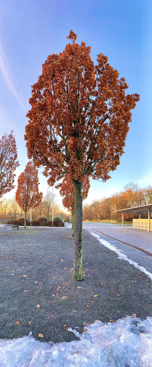 MillionairsPlan's tweet image. Look at that picture I just took 🤩😁