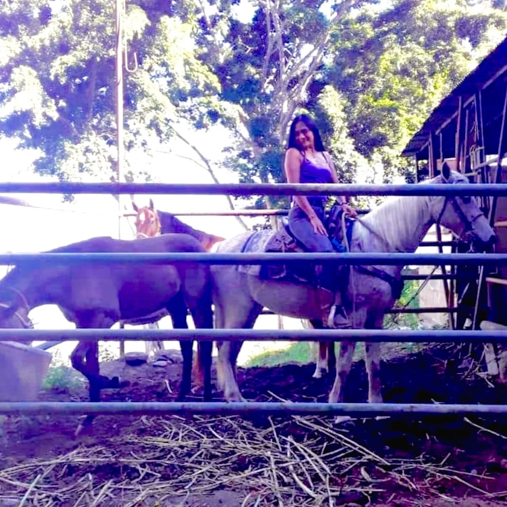 MGGR66's tweet photo. #7diciembre ¡Feliz día!
Esperando mi anuncio 💪🏼🐎😅
Entre #yeguas Samantha #rucia mosqueada , Sabrina #alazana y #potra Mariela #Mora y Yo 🫶🏼💛 https://t.co/Ie09ympK9Y