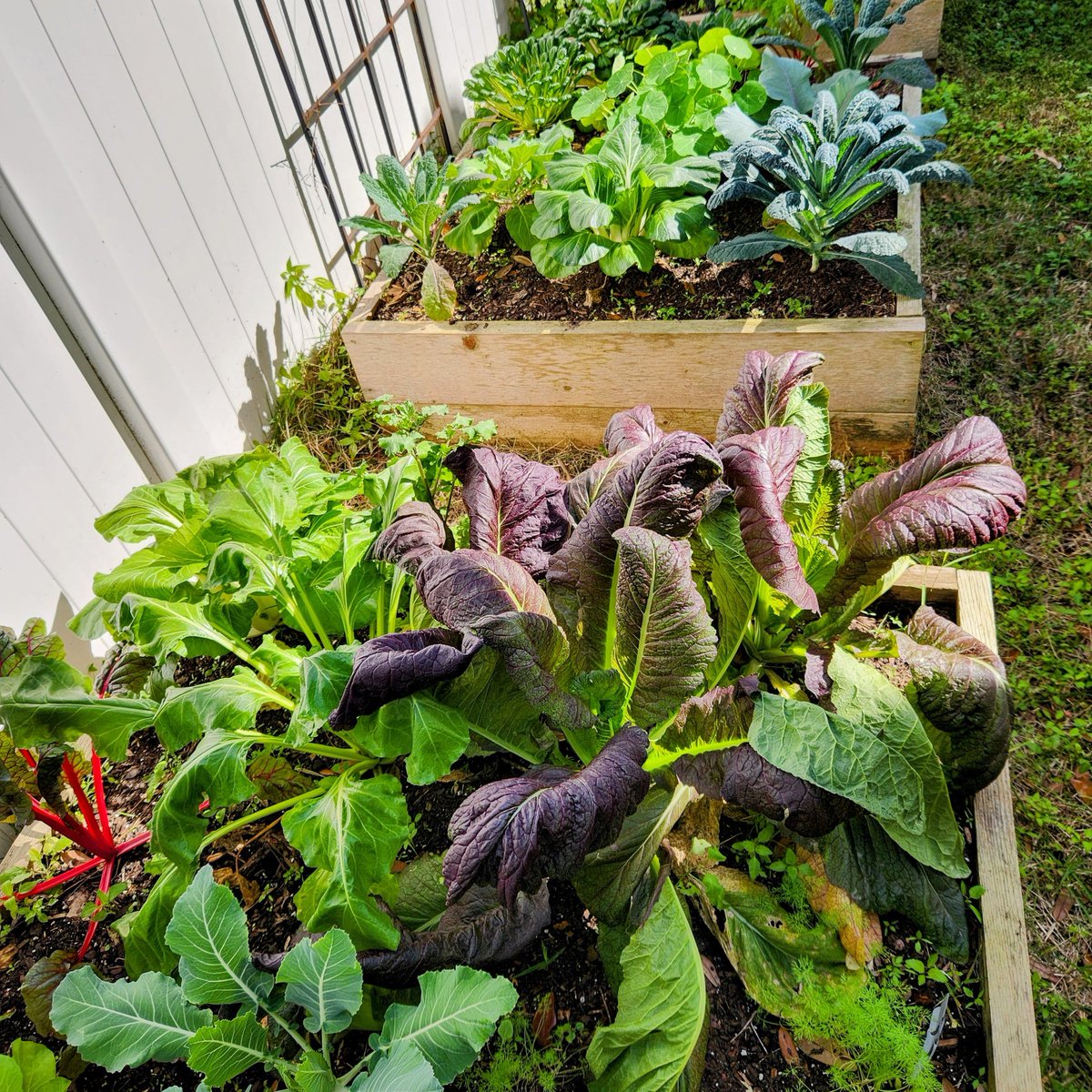 fleetfarming's tweet photo. If you're looking for a landscape that's inspired &amp; inviting (to you + your local fauna)—that shows your love for the planet, &amp; blends beauty + function, then allow our Edible Landscapes team to make the yard of your dreams come true. Consults are free! https://t.co/cIT0Vu8SnC https://t.co/mUyvhslTvl