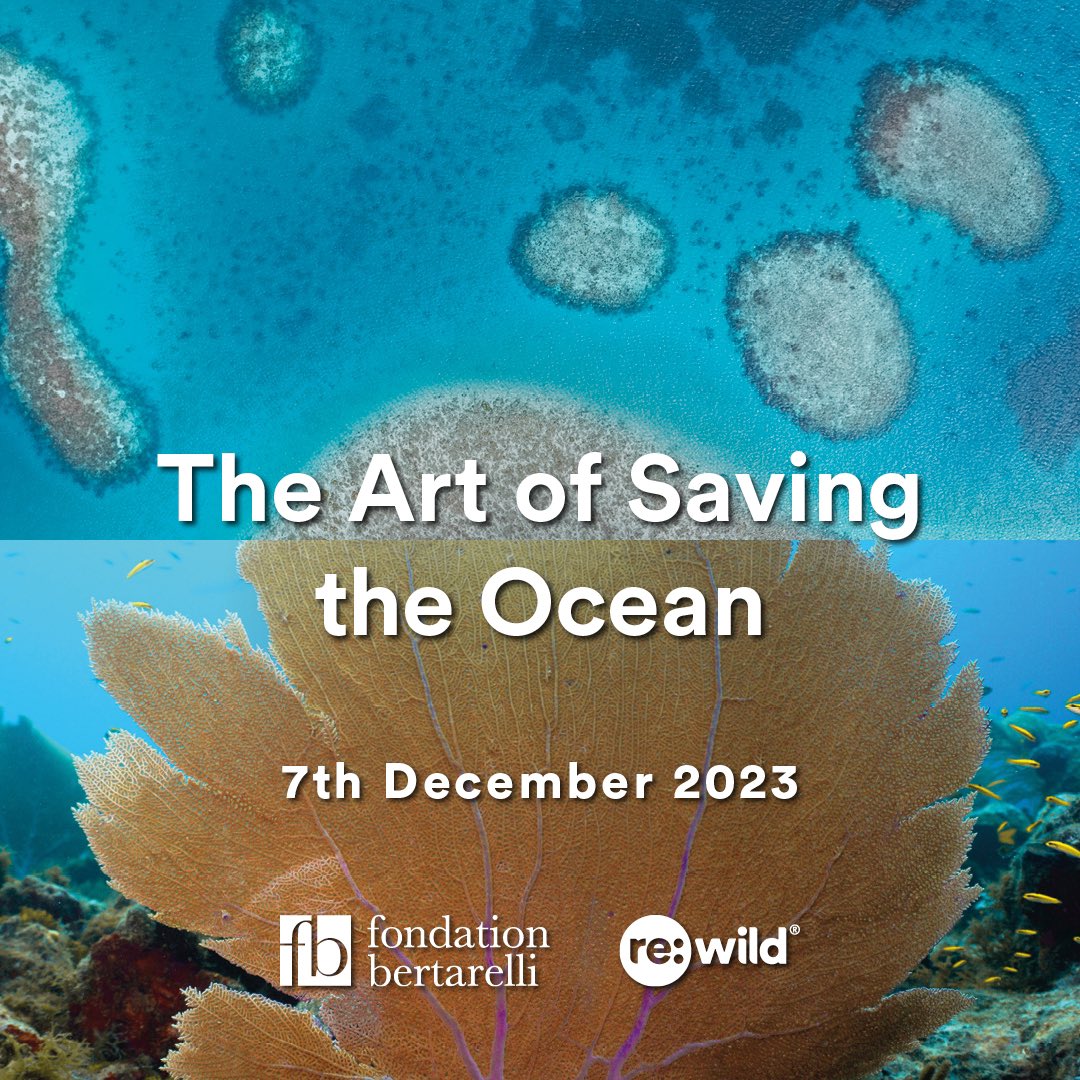 The Art of Saving the Ocean is now live! Tune in to learn how rewilding and restoration oceanic islands can save the ocean #IslandOcean m.youtube.com/watch?v=qFkrVe…