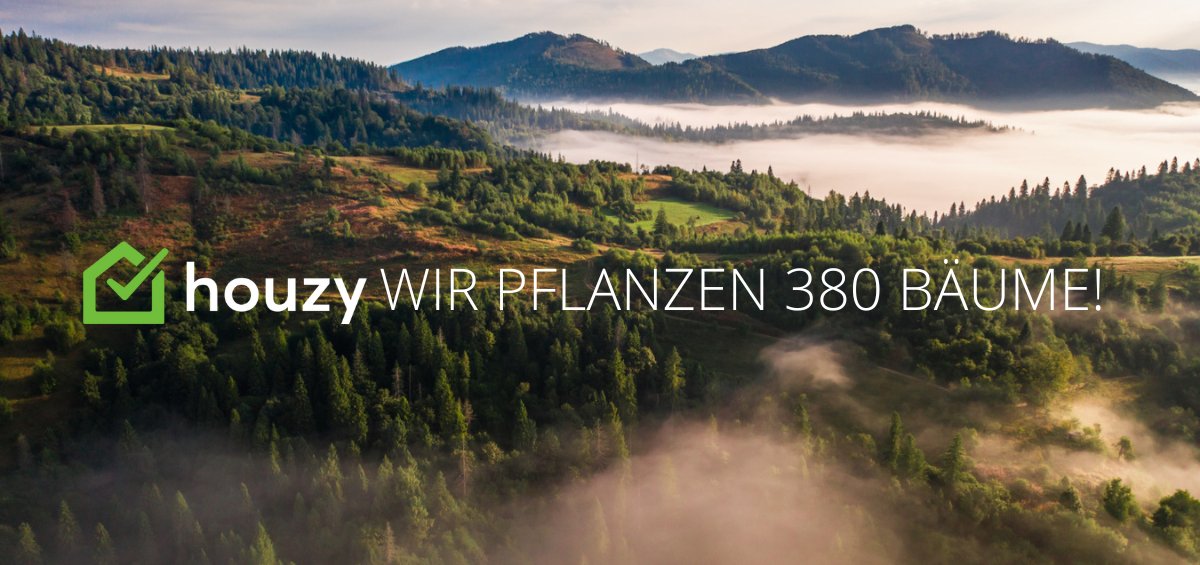 Wir pflanzen 380 Bäume in Rumänien! 🌳🌱

Für jede Person, die in der #Greenweek eines unserer Nachhaltigkeitstools ausprobiert hat oder den Baum in unserem Energie-Artikel fand, pflanzen wir einen Baum in Rumänien. 👏